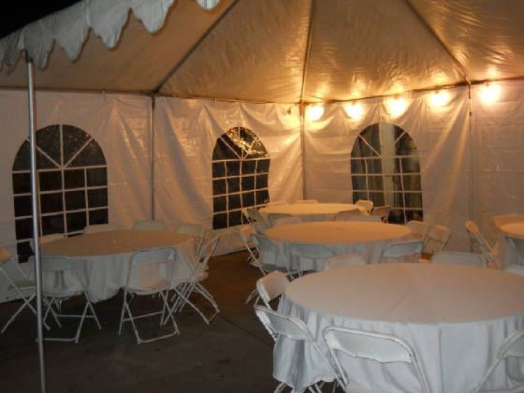 String Led Lights 20'