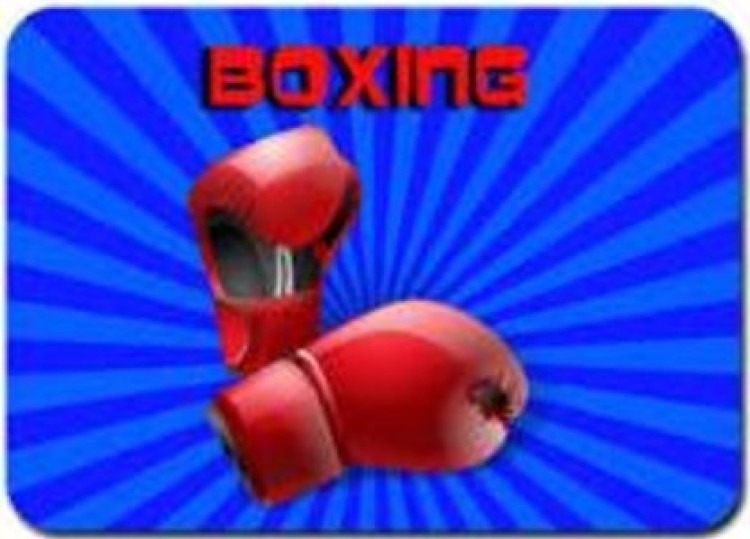 Jumbo Boxing Gloves with Head Gear