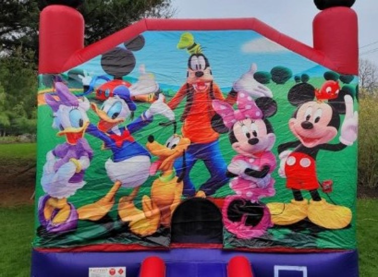 Mickey Mouse Park Combo C5