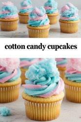 a110006ea5e2f4be87bc5dbc596e65d2 1769540462 1 SUGAR FLOSS WITH 50 COTTON CANDY PAPER Cones